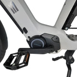 Vogue Avalanche Grijs – Elektrische Gezinsfiets Lage Instap | Voor 2 Kinderen
