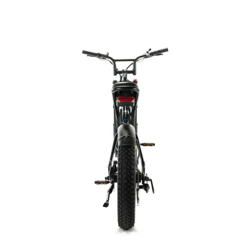 ENGWE M20 Zwart – Elektrische fatbike met dubbele vering