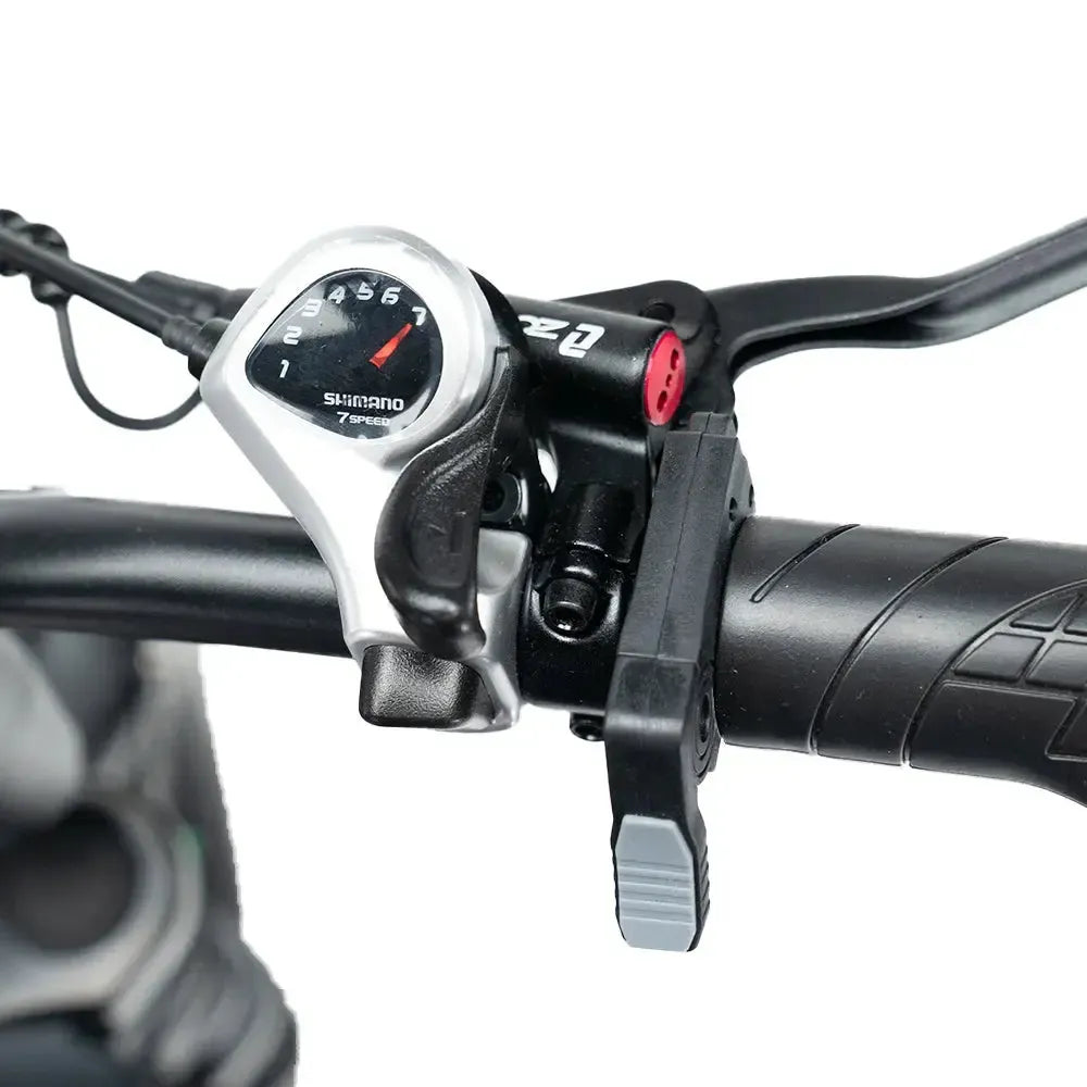 RoxxRX1+