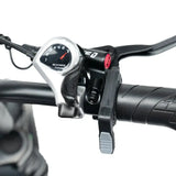 RoxxRX1+