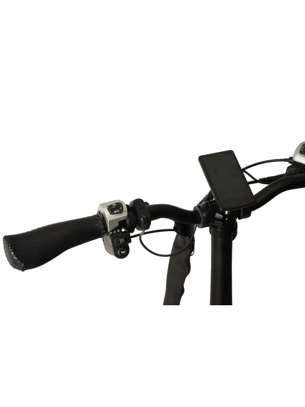 Roxx G1 – Elektrische Vouwfiets Lage Instap | Compacte E-bike Brede Banden