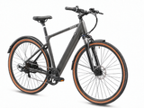 Roxx Gravel Grey - Een comfortabele e-bike voor dagelijks woon-werkverkeer