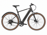 Roxx Gravel Grey - Een comfortabele e-bike voor dagelijks woon-werkverkeer