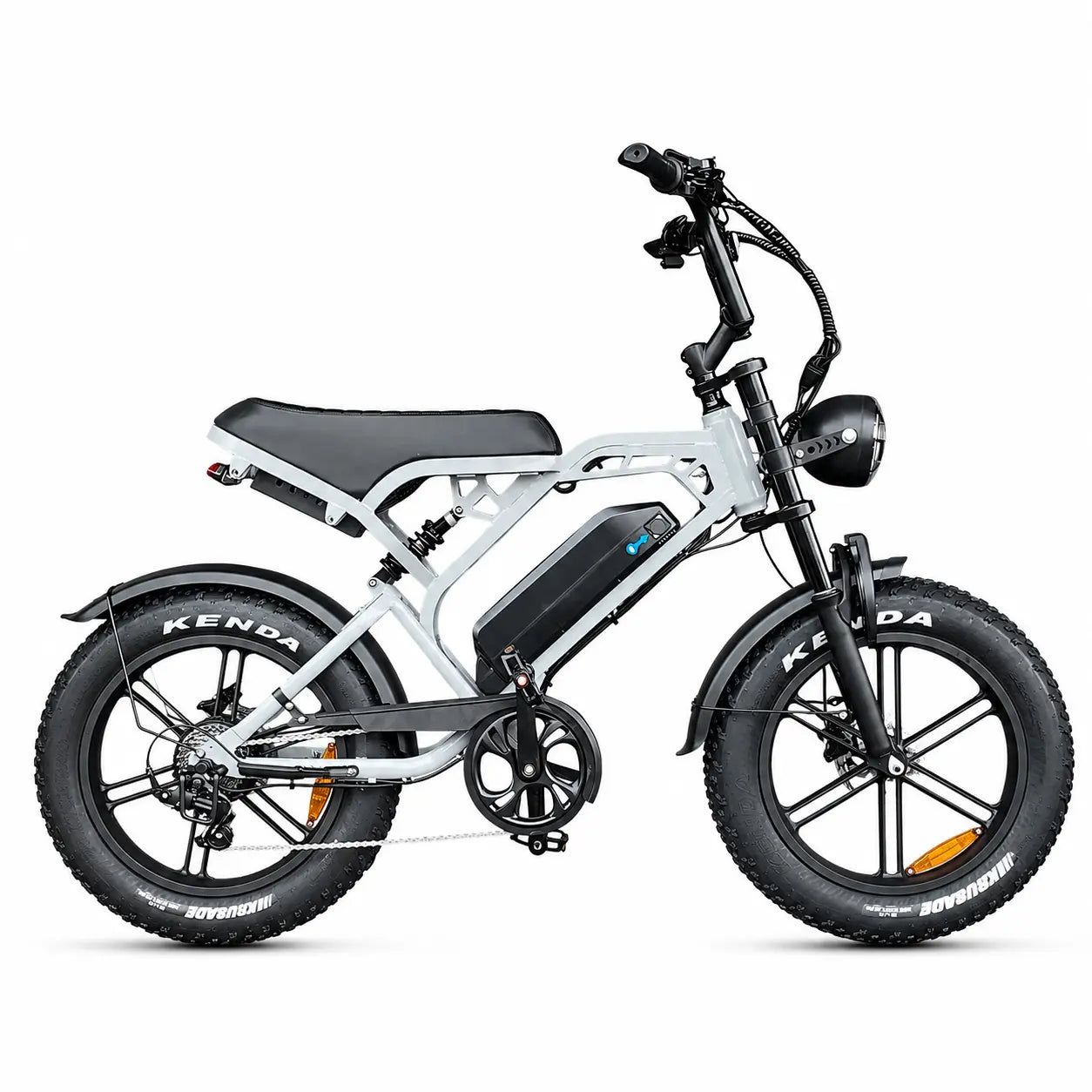 V20 Pro Zilver – Elektrische Fatbike | Krachtige E-bike Dagelijks & Avontuur