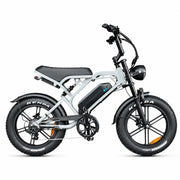 V20 Pro Zilver – Elektrische Fatbike | Krachtige E-bike Dagelijks & Avontuur
