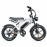 V20 Pro Zilver – Elektrische Fatbike | Krachtige E-bike Dagelijks & Avontuur