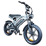 V20 Pro Zilver – Elektrische Fatbike | Krachtige E-bike Dagelijks & Avontuur