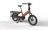 Roxx TL1 Bronze