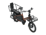 Roxx TL1 Bronze