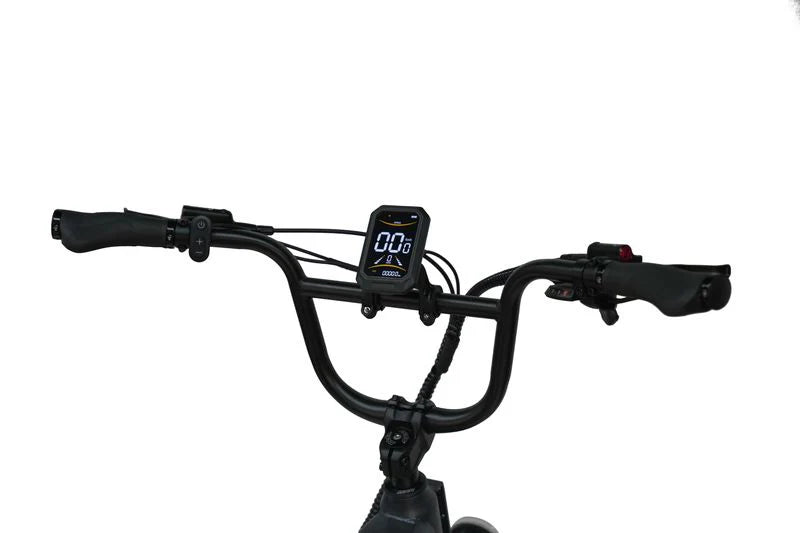 Maxtron Camel Grijs – Elektrische Fatbike Groen | Stabiele E-bike Stad & Recreatief