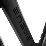 Engwe E26 zwarte elektrische fatbike met lage instap en accu, geschikt voor comfortabel dagelijks gebruik