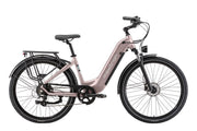 Elektrische fiets Maxtron Marathon Goud met grote accu, frame en accessoires, klaar voor gebruik.