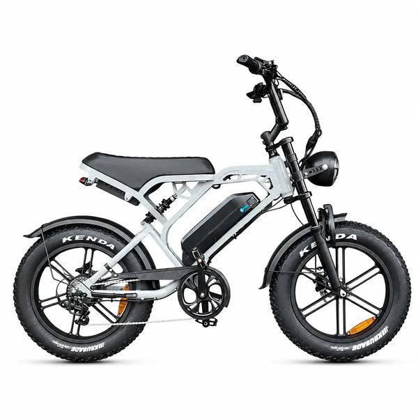 Ouxi V20 Pro zilveren elektrische fatbike met brede banden, geschikt voor dagelijks gebruik en avontuurlijke ritten.
