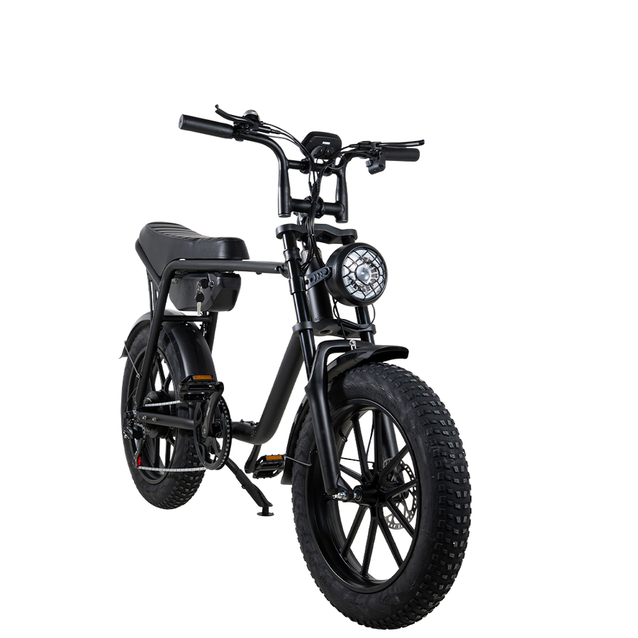 Roxx Bike: When E-bike Meets Life
