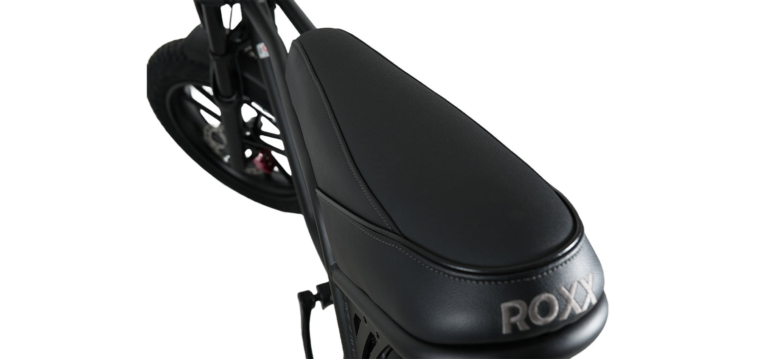 Roxx Bike