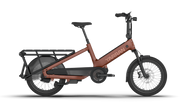 Roxx TL1 Bronze