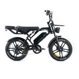 roxxx2