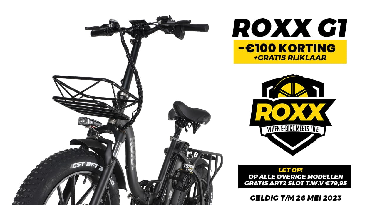onderdak flexibel beroemd Roxx Bike - When e-bike meets life
